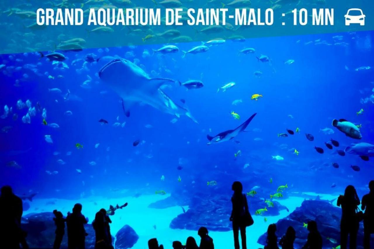 Logement Entier Saint Malo Vue Mer, Proche Ferry, Commerces Et Plage Solidor 50 M Εξωτερικό φωτογραφία